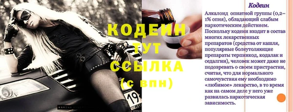 молекула духа Лабытнанги