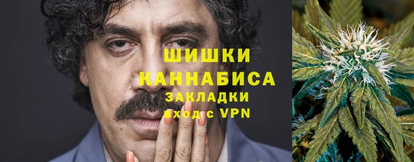 молекула духа Лабытнанги